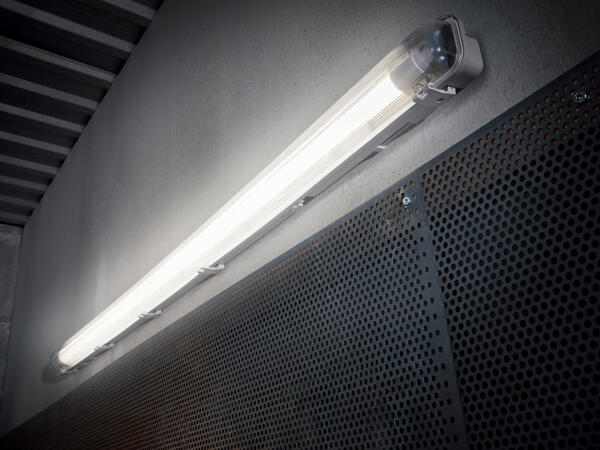 LED Light for Damp Environments