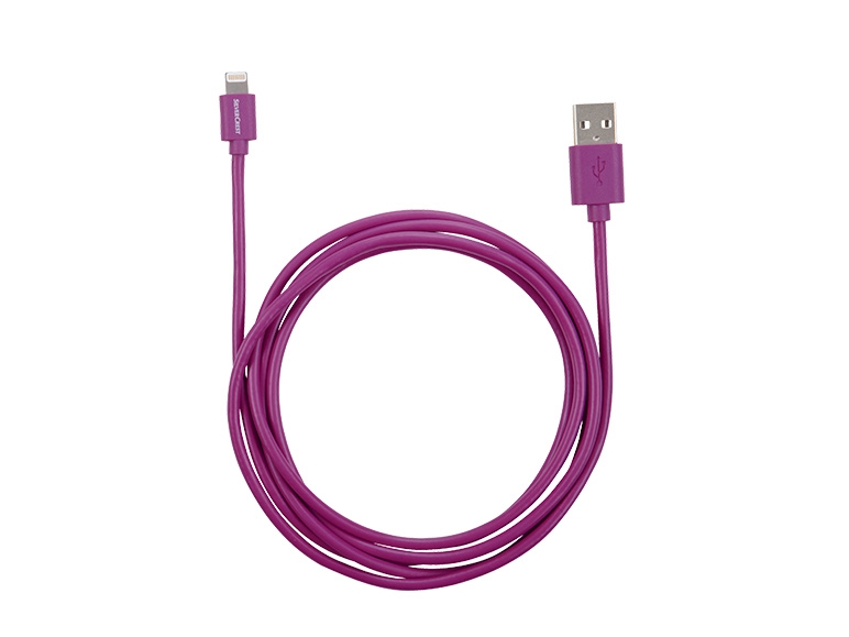Câble USB Lightning(R)