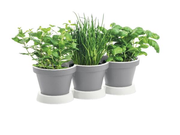 3-in-1 Herb Pot