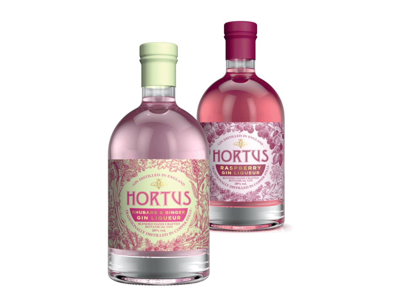 HORTUS Rhubarb & Ginger/ Raspberry Gin Liqueur