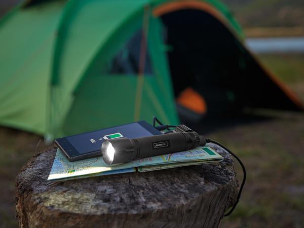 LIVARNO LUX(R) LED-lommelygte med powerbank