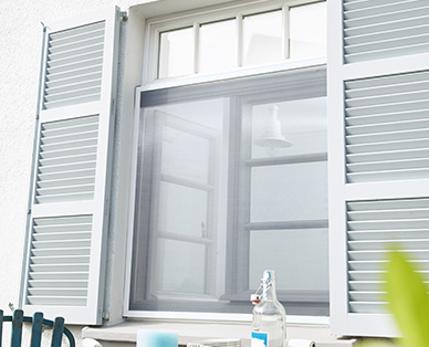 Insektenschutz für Fenster