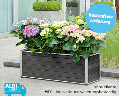 WPC-Blumenkasten mit 3 Pflanzeinsätzen¹