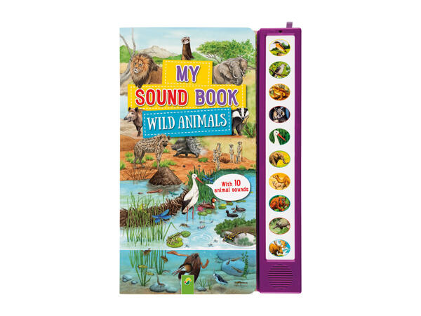 Kids' Sound Books