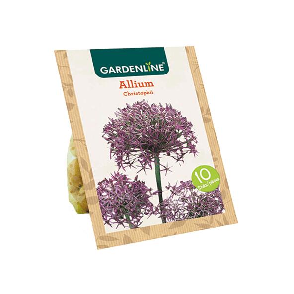 GARDENLINE(R) 				Bulbes à fleurs ail d'ornement
