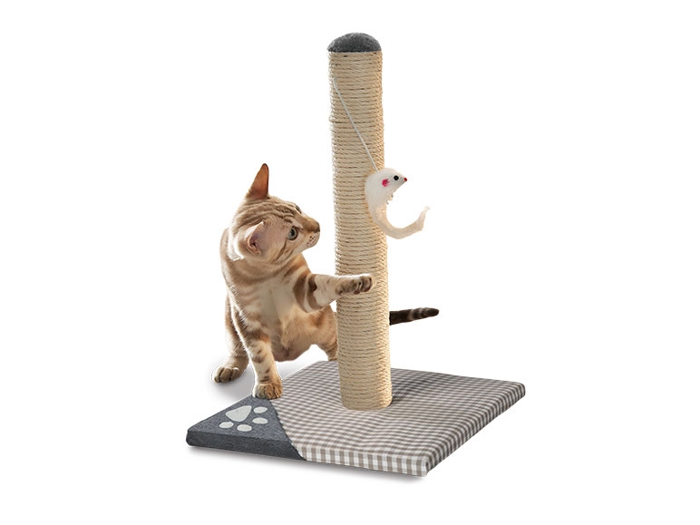 Cat Scratching Board, Post or Roller