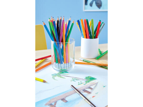 Fibre-Tip Pens/ Erasable Colouring Pencils