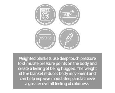 Weighted Blanket with Removable Cover