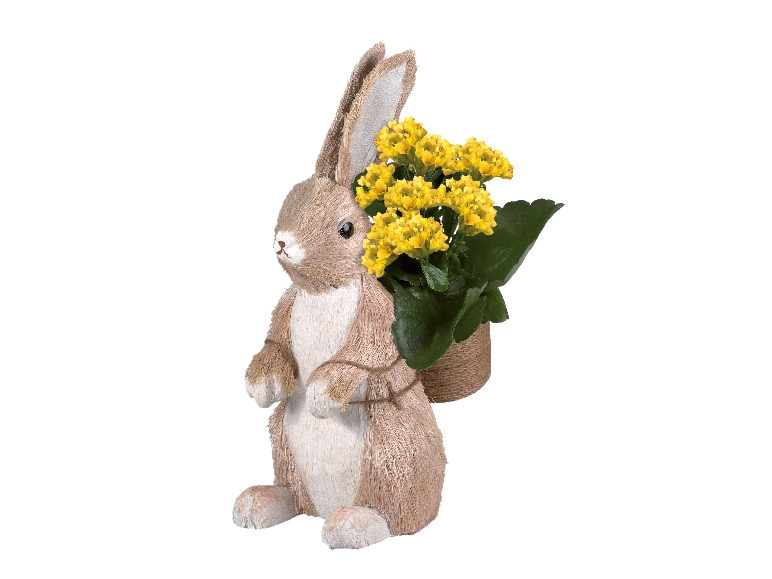Easter Bunny Planter
