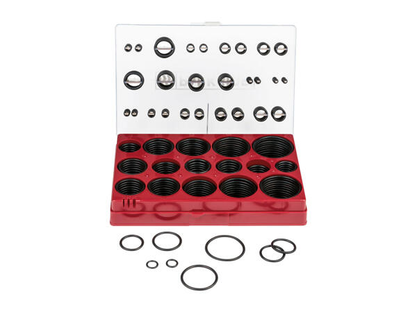 Parkside Assorted Washers or O-Rings