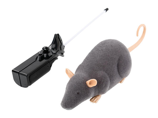 Remote-Controlled Rat or Tarantula