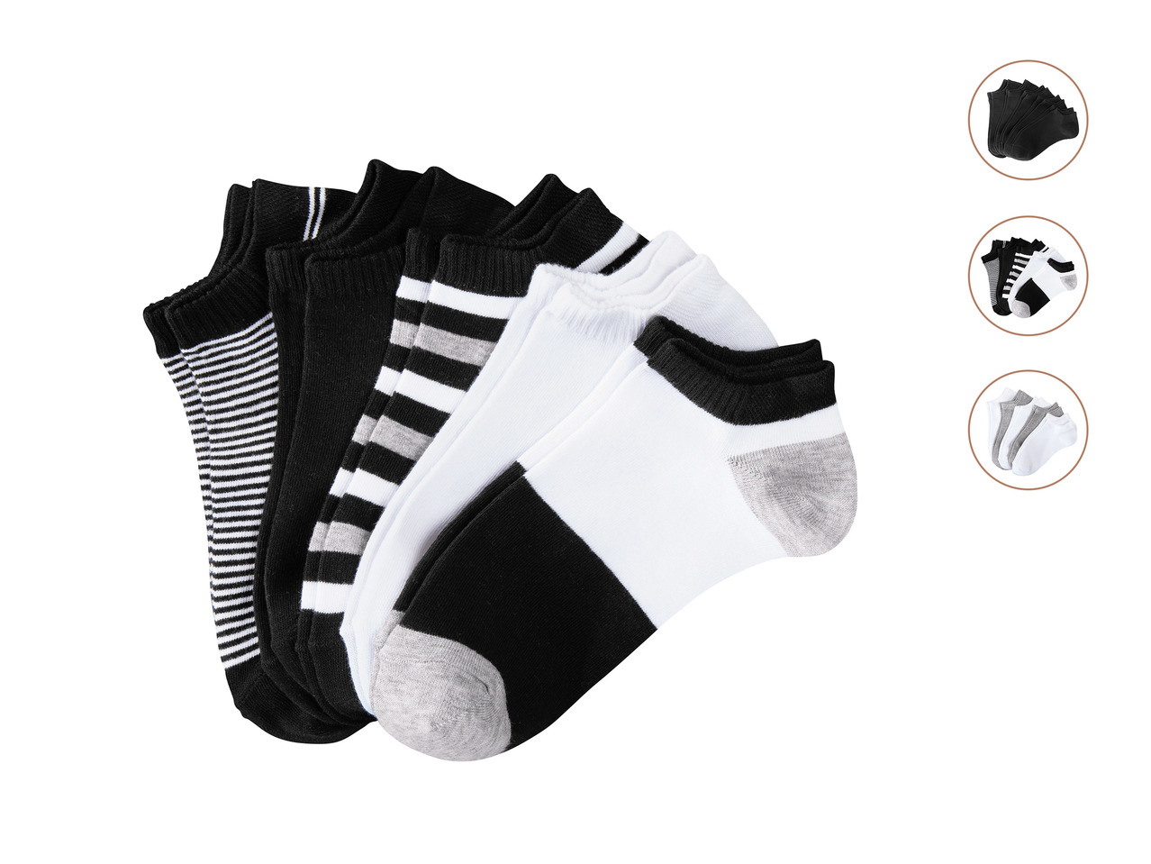 Livergy Trainer Socks1
