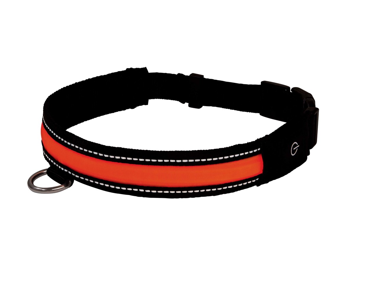 LED Dog Band/Collar
