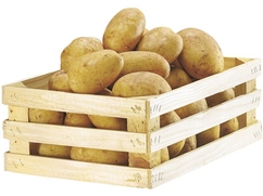 Pommes de terre primeur d'Alsace