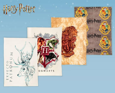 HARRY POTTER Decke „Harry Potter"