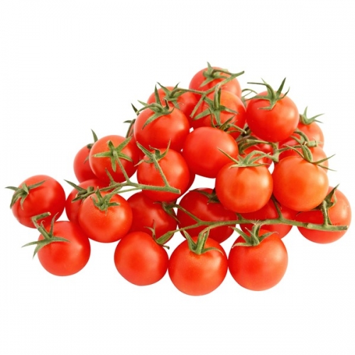 Tomates cocktail grappes
