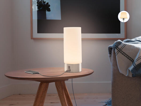 LED Table Lamp with USB