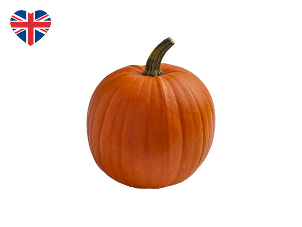 British Large Pumpkin