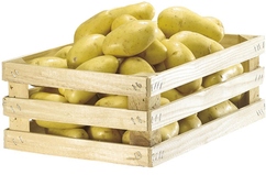Pommes de terre "Cicero"