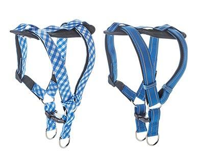 Heart to Tail 
 Pet Leash or Dog Harness