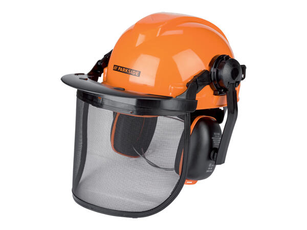 Forestry Safety Helmet