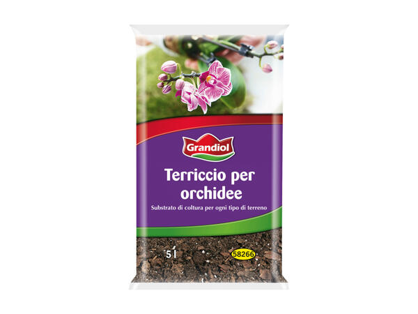 Soil for Orchids