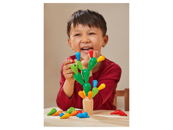 Wooden Shape Toy