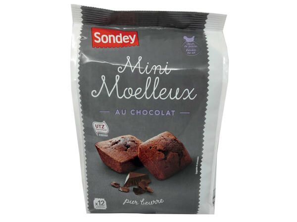 Mignardises mini moelleux chocolat