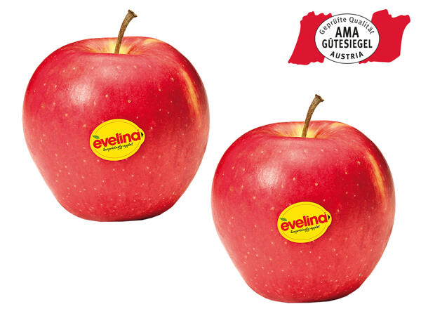 Äpfel rot Evelina (R) aus Österreich