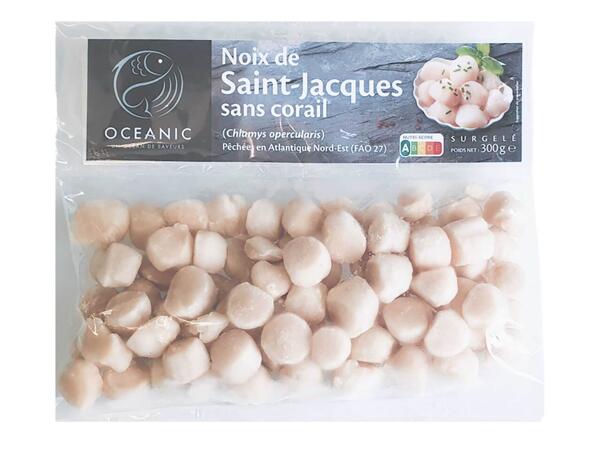 Noix de Saint-Jacques sans corail
