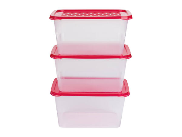 Ernesto Food Storage Containers