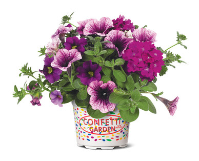 Confetti Flower Pot