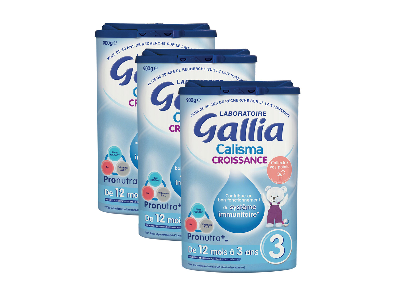 Gallia Calisma 31