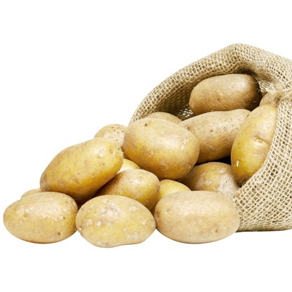 Pommes de terre de consommation "Annabelle"