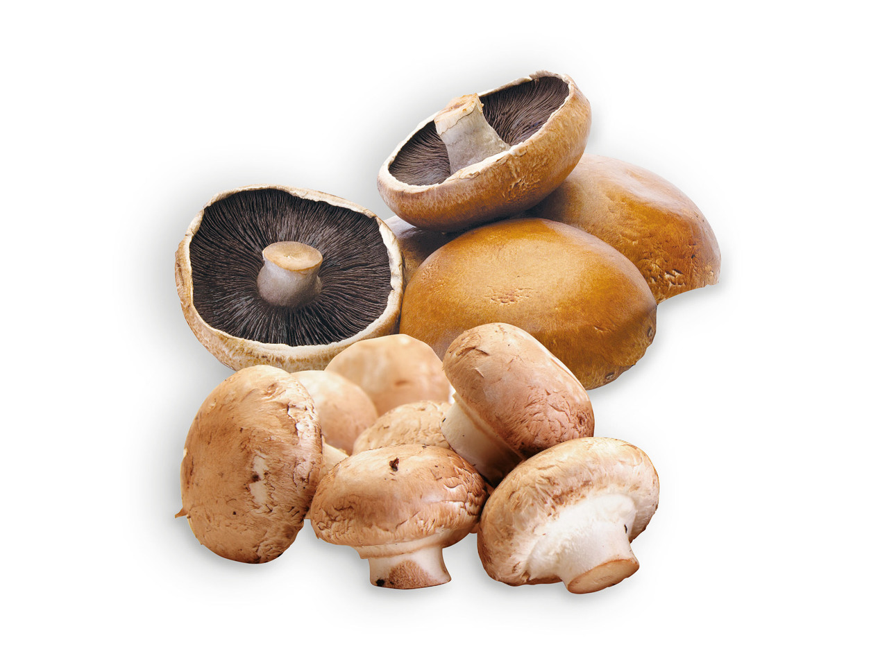 Cogumelos Portobello / Marron
