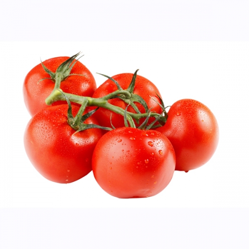 Tomates grappes " Romanella"
