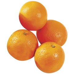 Oranges à jus "Salustianas"