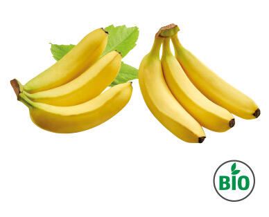 NATURA FELICE 
 Banane BIO Fairtrade 700 g