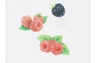 Essuie-tout compact motifs fruits