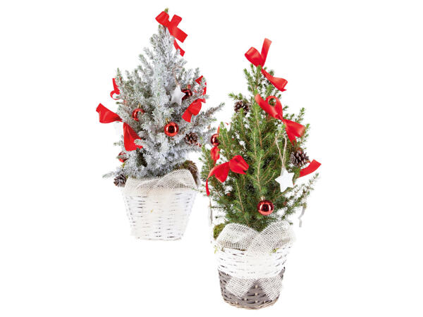 Christmas Tree in a Basket