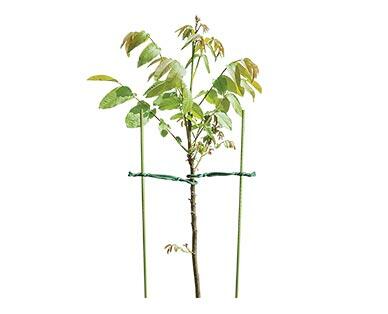 Gardenline 
 4-Pack Plant Supports