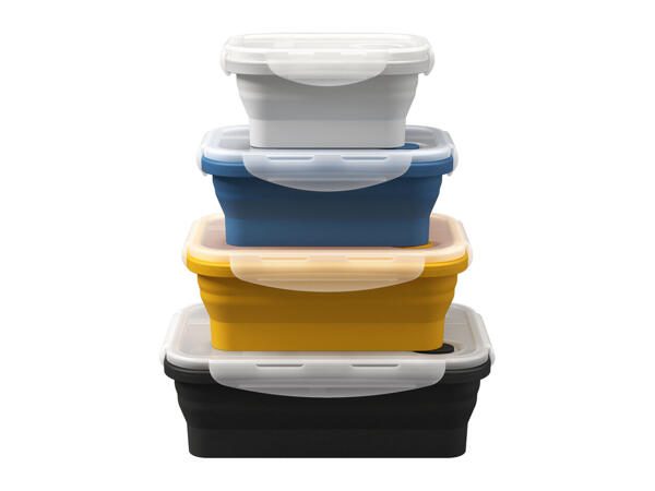 Ernesto Collapsible Storage Containers