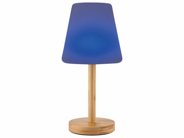 Table Lamp for Outdoor Use