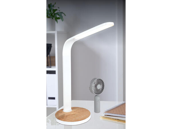 LED Desk Lamp with Removable Fan