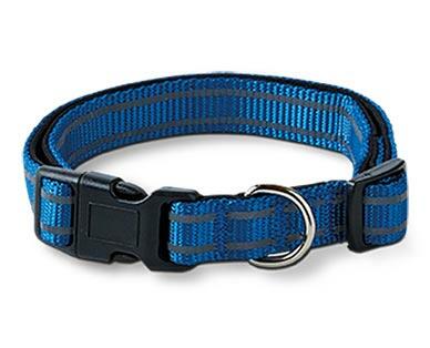 Heart to Tail 
 Pet Collar