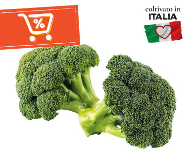 I COLORI DEL SAPORE 
 Broccoli 500 g