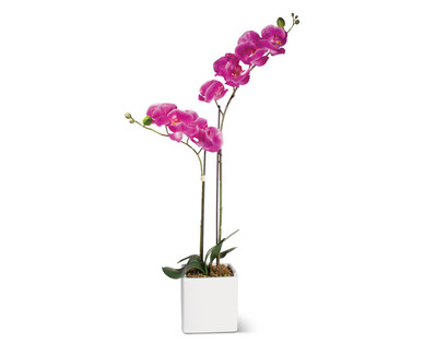 Huntington Home Decorative Orchid or Grass