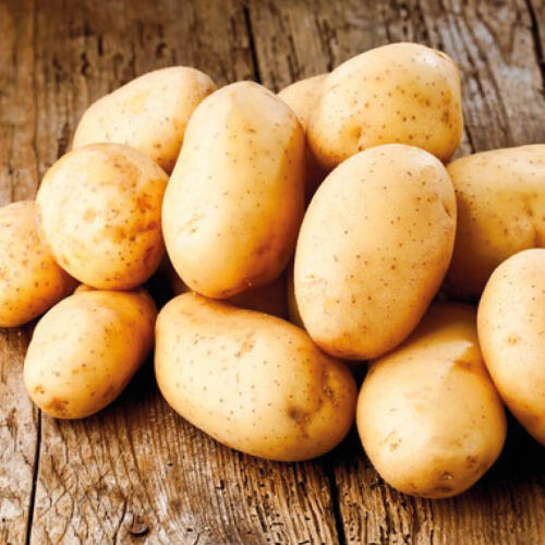Pommes de terre de consommation "Cicero/Marabel"