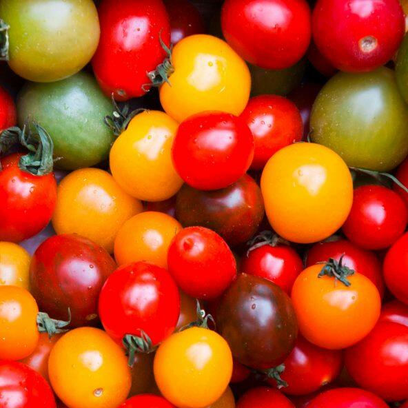 Assortiment de tomates cerises rondes et allongées