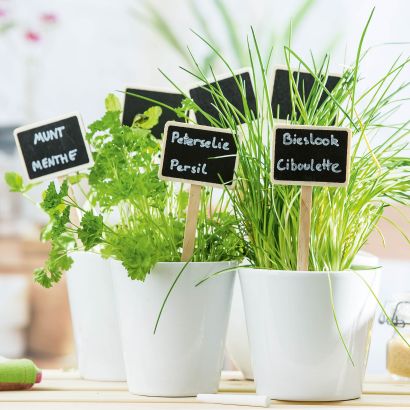 Étiquettes pour plantes, 6 pcs